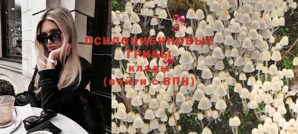ПСИЛОЦИБИНОВЫЕ ГРИБЫ Новодвинск