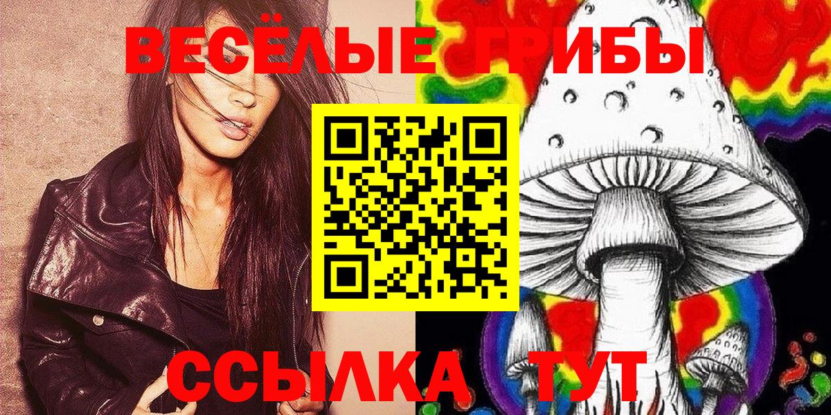 Ипатово  продажа наркотиков  Галлюциногенные грибы Cubensis  Вход с VPN  Псилоцибиновые грибы Psilocybe 