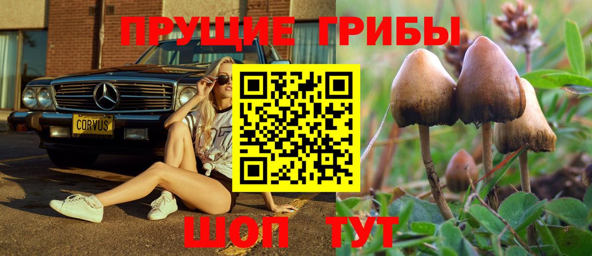Псилоцибиновые грибы Psilocybine cubensis Ипатово