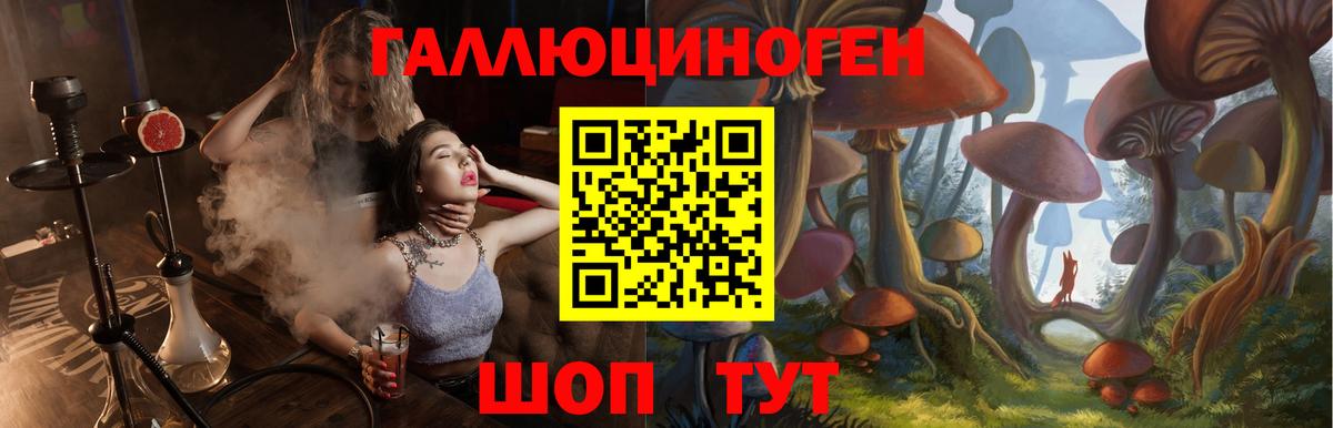 Галлюциногенные грибы MAGIC MUSHROOMS  Ипатово 